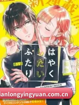 全域布局